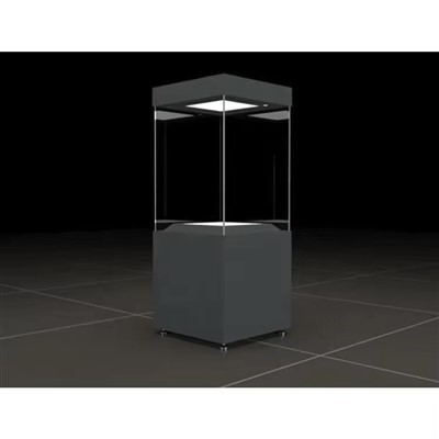 Museum Vitrine