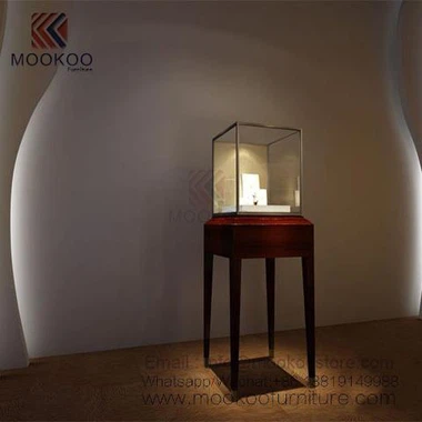 Locking Jewelry Display Case